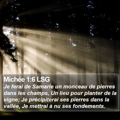 Michée 1:6 LSG Bible Verse Image
