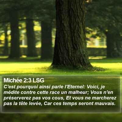 Michée 2:3 LSG Bible Verse Image