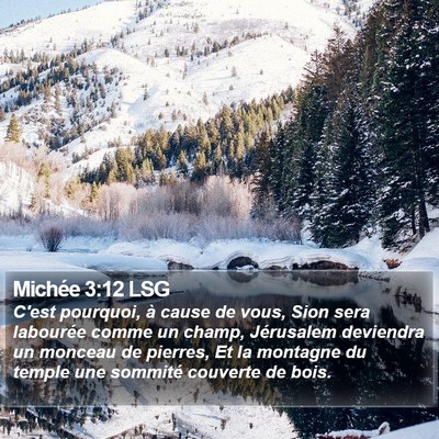 Michée 3:12 LSG Bible Verse Image