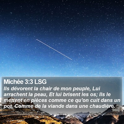 Michée 3:3 LSG Bible Verse Image
