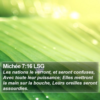 Michée 7:16 LSG Bible Verse Image