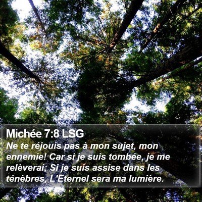Michée 7:8 LSG Bible Verse Image