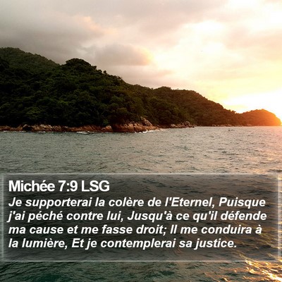 Michée 7:9 LSG Bible Verse Image