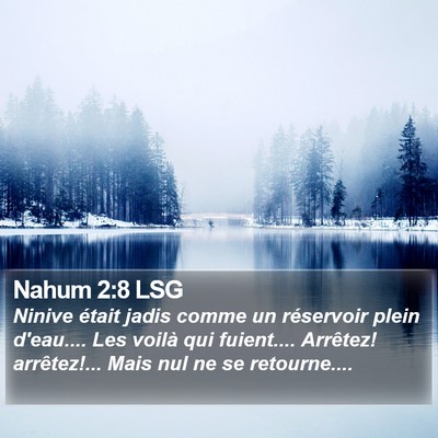 Nahum 2:8 LSG Bible Verse Image