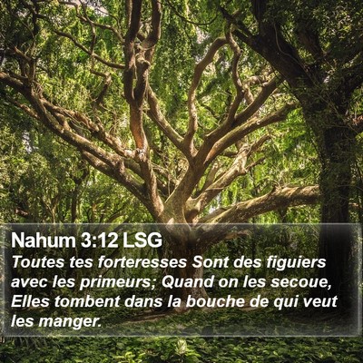 Nahum 3:12 LSG Bible Verse Image