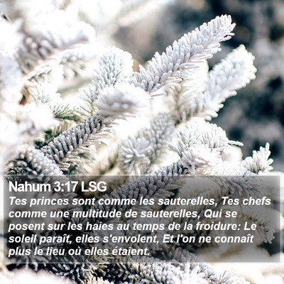 Nahum 3:17 LSG Bible Verse Image
