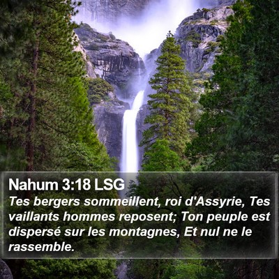 Nahum 3:18 LSG Bible Verse Image