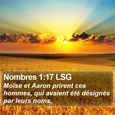 Nombres 1:17 LSG Bible Verse Image