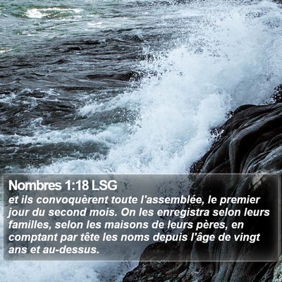Nombres 1:18 LSG Bible Verse Image