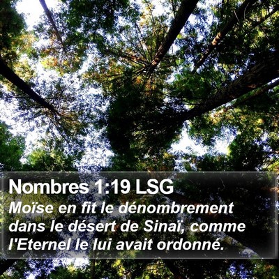 Nombres 1:19 LSG Bible Verse Image