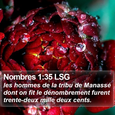 Nombres 1:35 LSG Bible Verse Image