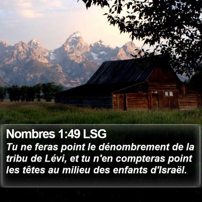 Nombres 1:49 LSG Bible Verse Image