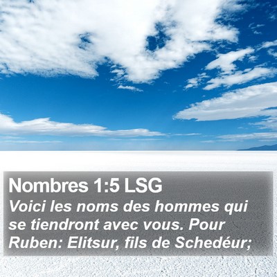 Nombres 1:5 LSG Bible Verse Image