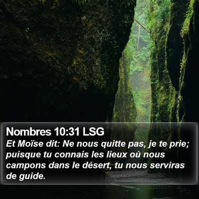 Nombres 10:31 LSG Bible Verse Image