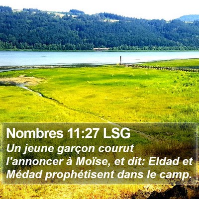 Nombres 11:27 LSG Bible Verse Image