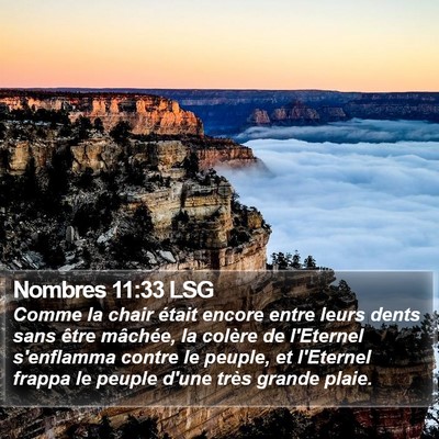 Nombres 11:33 LSG Bible Verse Image