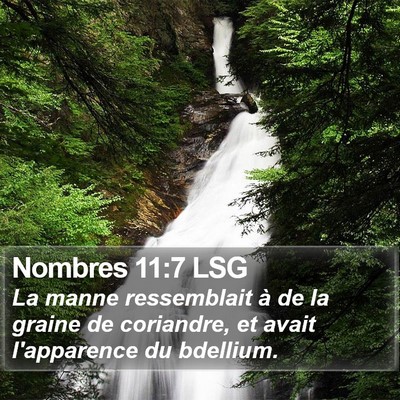 Nombres 11:7 LSG Bible Verse Image