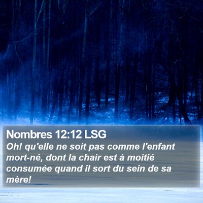 Nombres 12:12 LSG Bible Verse Image