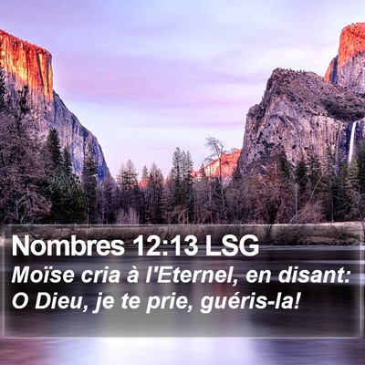 Nombres 12:13 LSG Bible Verse Image