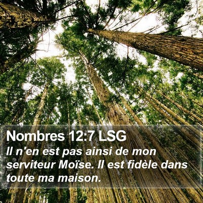Nombres 12:7 LSG Bible Verse Image