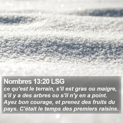 Nombres 13:20 LSG Bible Verse Image