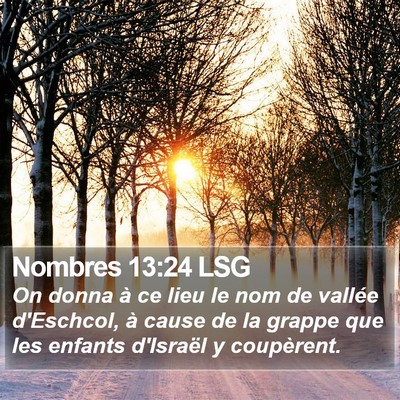 Nombres 13:24 LSG Bible Verse Image