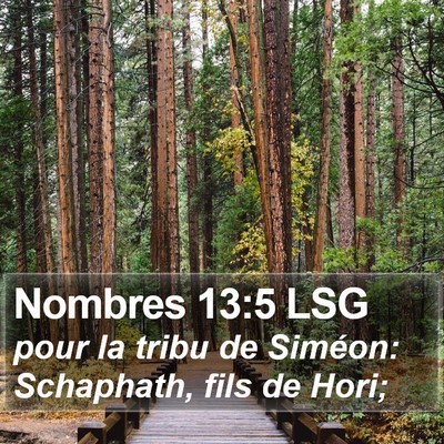 Nombres 13:5 LSG Bible Verse Image