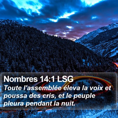 Nombres 14:1 LSG Bible Verse Image