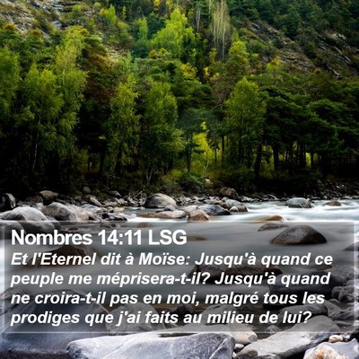 Nombres 14:11 LSG Bible Verse Image