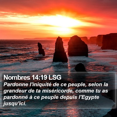 Nombres 14:19 LSG Bible Verse Image