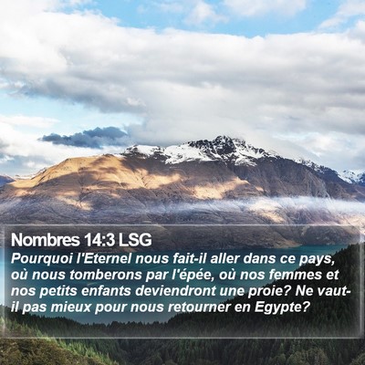 Nombres 14:3 LSG Bible Verse Image
