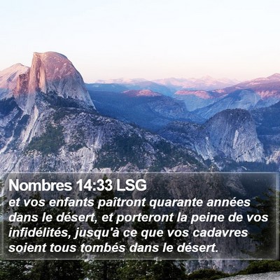 Nombres 14:33 LSG Bible Verse Image