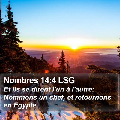 Nombres 14:4 LSG Bible Verse Image