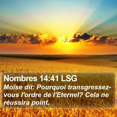 Nombres 14:41 LSG Bible Verse Image