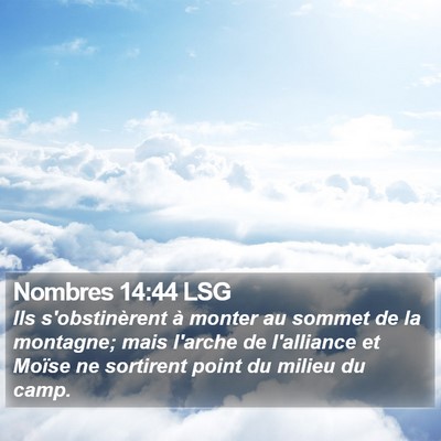 Nombres 14:44 LSG Bible Verse Image