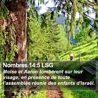 Nombres 14:5 LSG Bible Verse Image