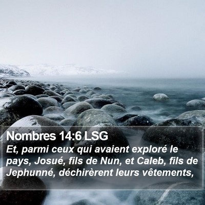 Nombres 14:6 LSG Bible Verse Image
