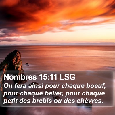 Nombres 15:11 LSG Bible Verse Image