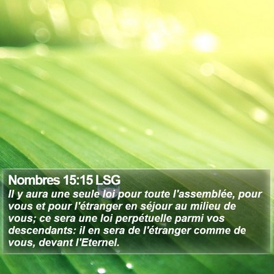 Nombres 15:15 LSG Bible Verse Image