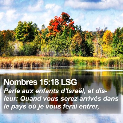 Nombres 15:18 LSG Bible Verse Image