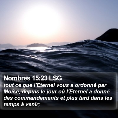 Nombres 15:23 LSG Bible Verse Image