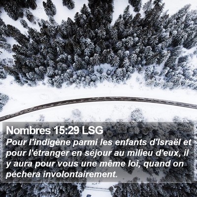 Nombres 15:29 LSG Bible Verse Image