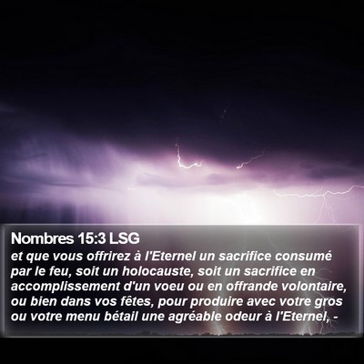 Nombres 15:3 LSG Bible Verse Image