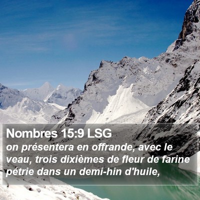 Nombres 15:9 LSG Bible Verse Image
