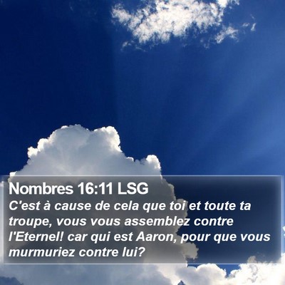 Nombres 16:11 LSG Bible Verse Image