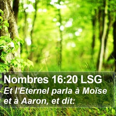 Nombres 16:20 LSG Bible Verse Image