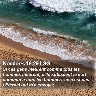 Nombres 16:29 LSG Bible Verse Image