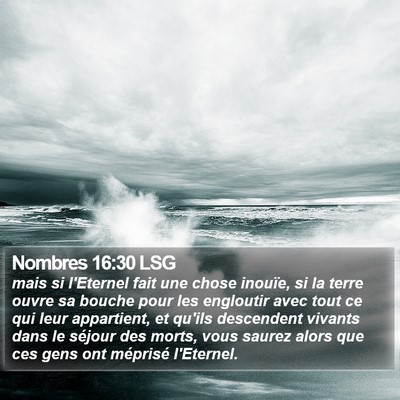 Nombres 16:30 LSG Bible Verse Image