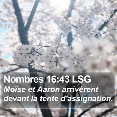 Nombres 16:43 LSG Bible Verse Image