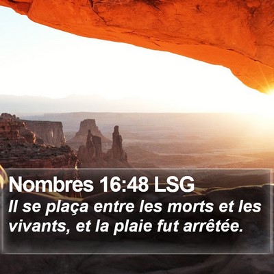 Nombres 16:48 LSG Bible Verse Image
